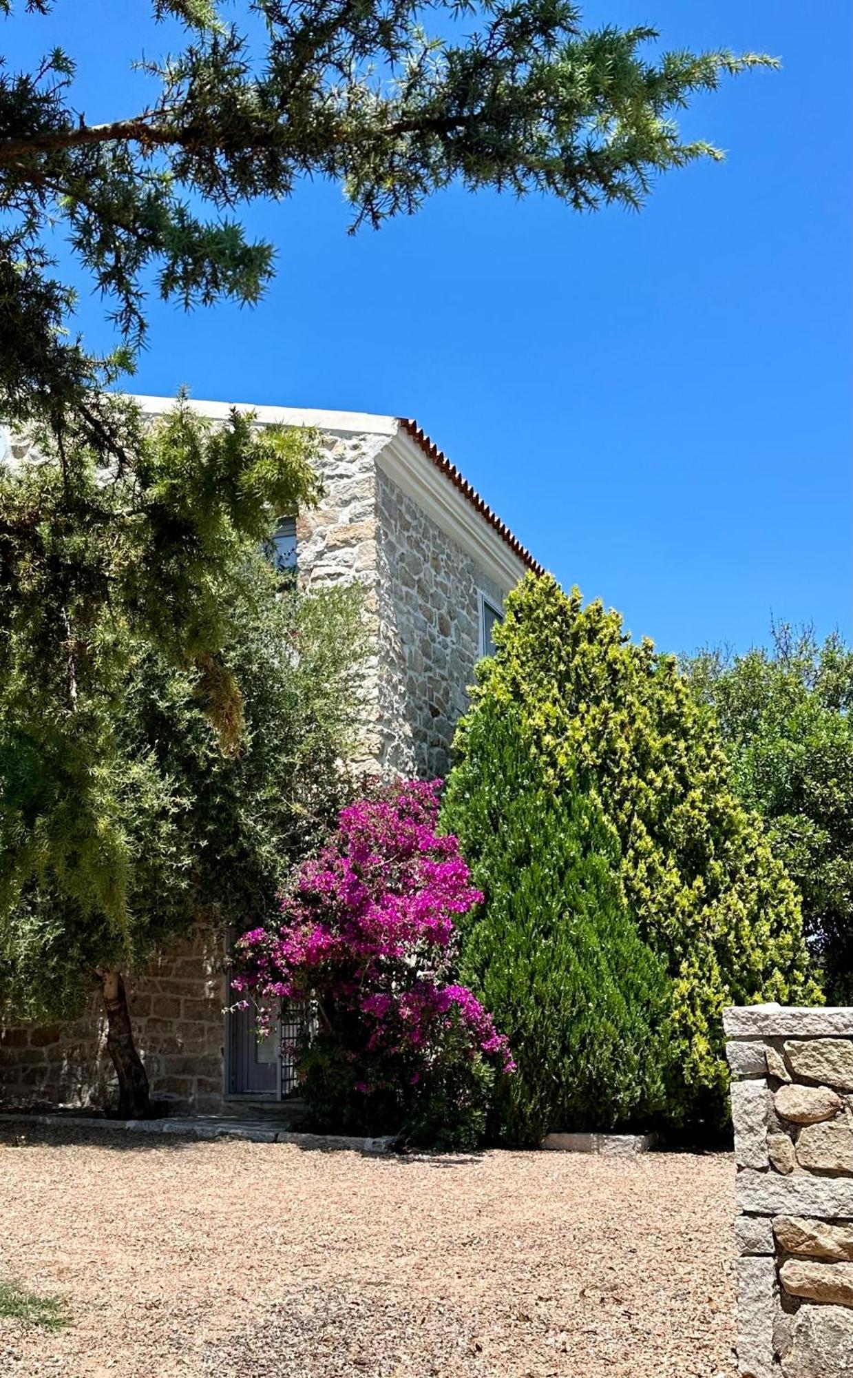 Villa Maria Cristina Santa Teresa Gallura Exteriör bild